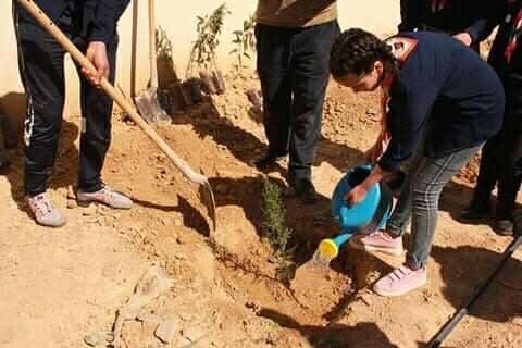 Tree planting at Ibn Sina middle school
